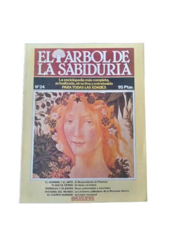 Producto - El Arbol De La Sabiduria Fasciculo Numero 24 1980 (usado)