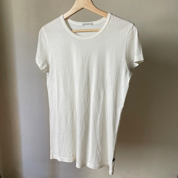 Producto - Remera semi traslucida Alexa Chung