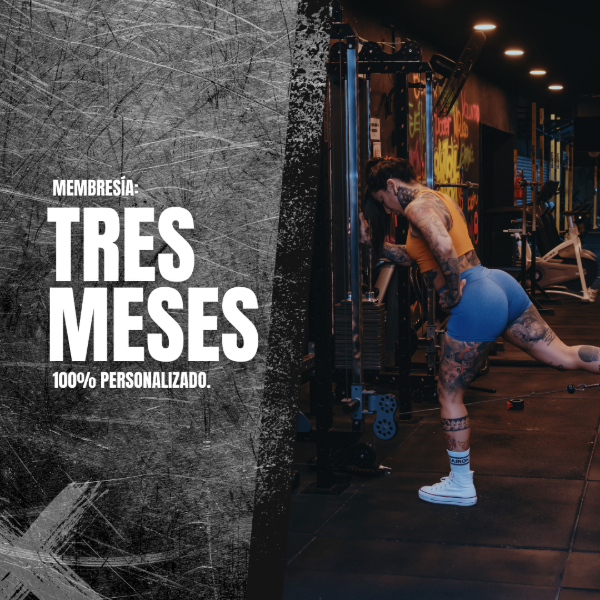 Producto - Membresía 3 meses