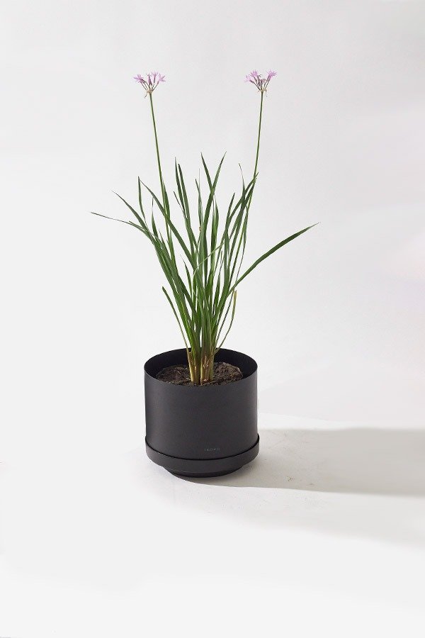 Producto - Maceta Haru Negro Satinado