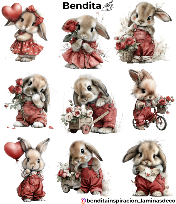 Producto - Bendita Plancha Conejos tonalidad rojo