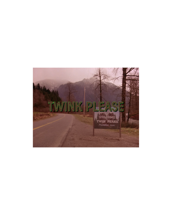 Producto - TWINK PLEASE (TWIN PEAKS) - BABY TEE