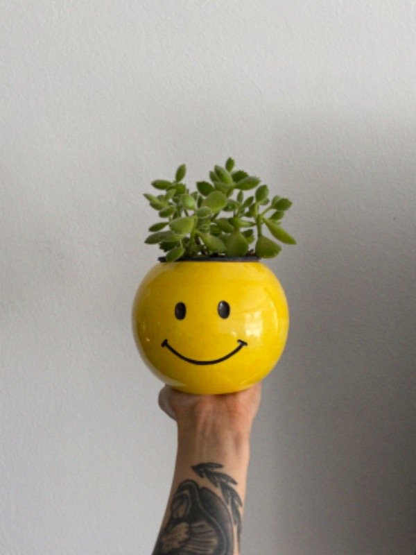 Producto - Maceta smile