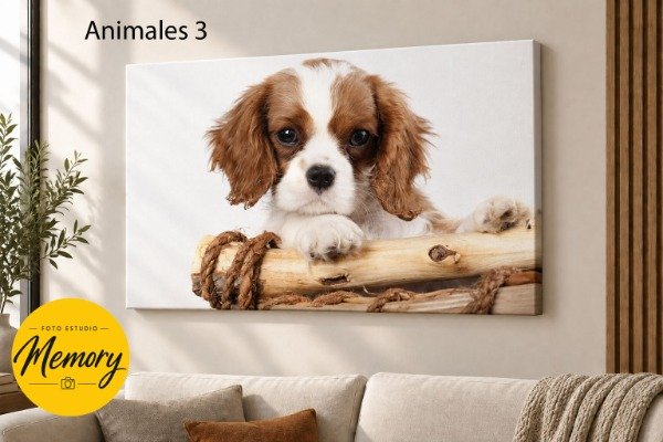 Producto - Cuadro Animales - Elegí tu diseño - 1