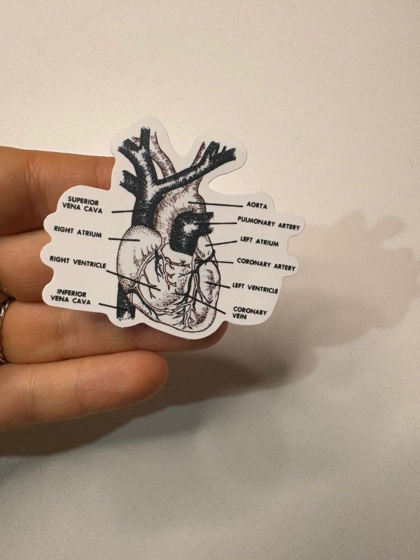 Producto - Sticker medicina 76