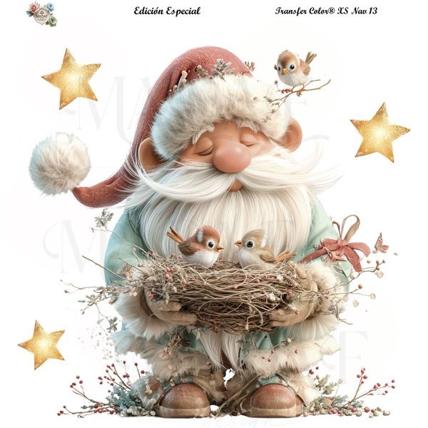 Producto - TRANSFER COLOR XS 13