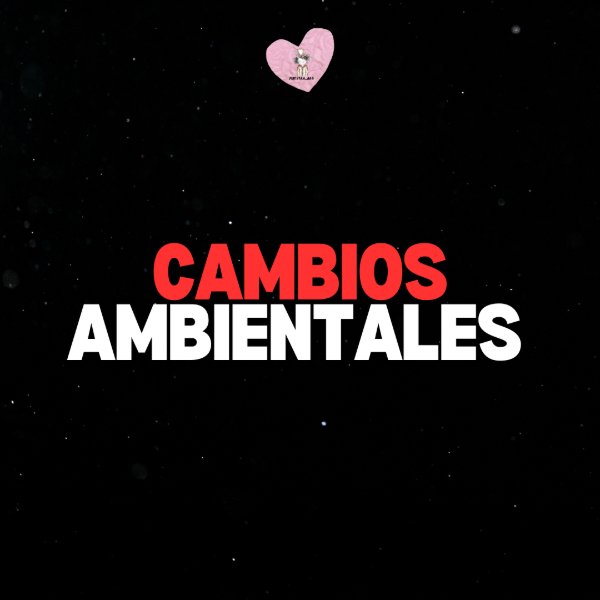 Producto - CAMBIOS AMBIENTALES- LOCAL