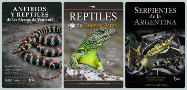 Producto - Anfibios y Reptiles Sierras Ventania + Reptiles BA + Serpientes Argentina