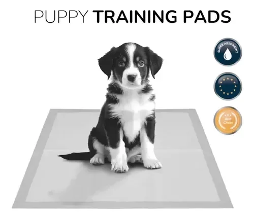Producto - GENGIS Dog Pads 60x60 10 und - 3