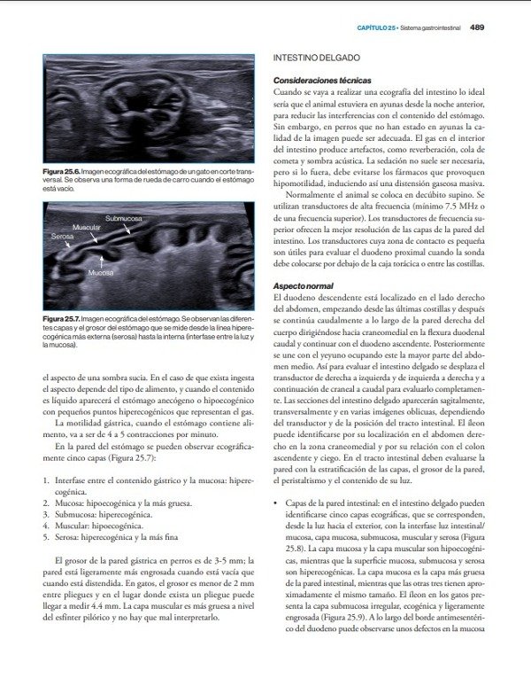 Producto - Agut: Diagnóstico por Imagen en Pequeños Animales, 2da - 6