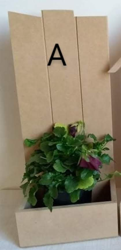 Producto - Porta suculentas  A (P110A)