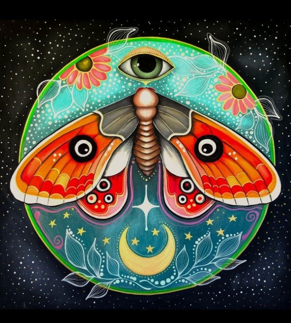 Producto - El ojo de la mariposa