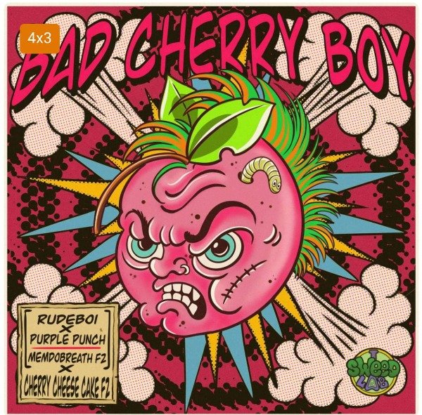 Producto - BAD CHERRY BOY x4