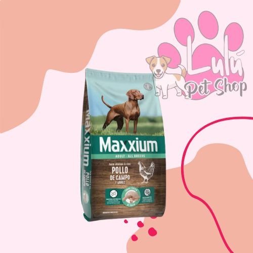 Producto - MAXXIUM ADULTO POLLO DE CAMPO X 3KG