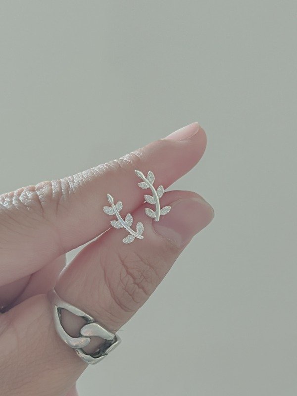 Producto - Pasantes laurel