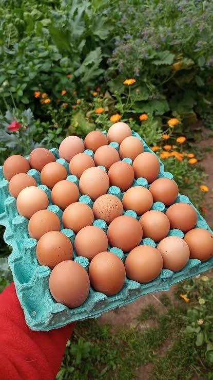 Producto - Huevo de gallina. Producción propia 30 unidades. 60grs aprox cada uno. Del Valle