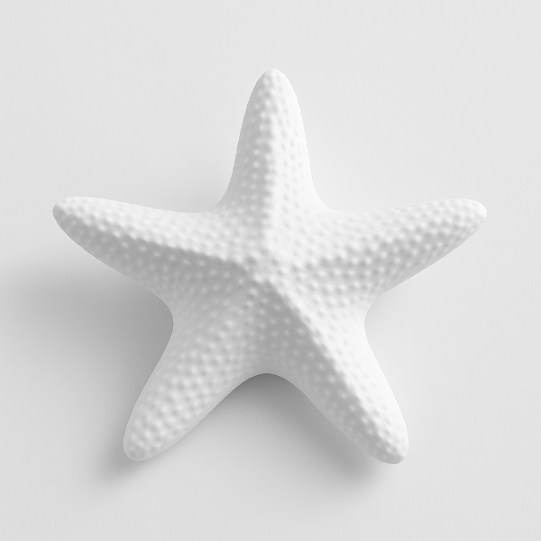 Producto - Hebilla Estrella de Mar