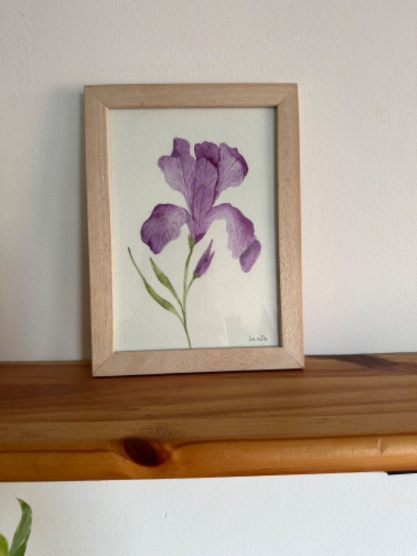 Producto - Lirio