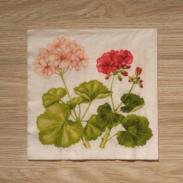 Producto - Servilleta 6079 . GERANIUM