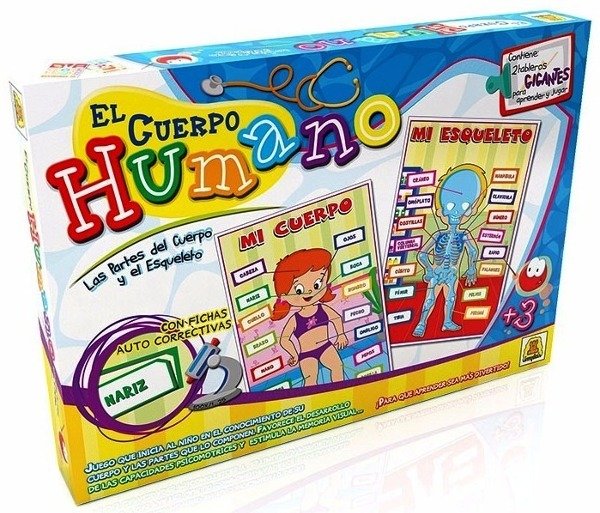 Producto - EL CUERPO HUMANO