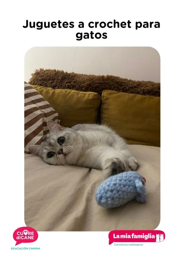 Producto - Juguetes a crochet para gatos - 0