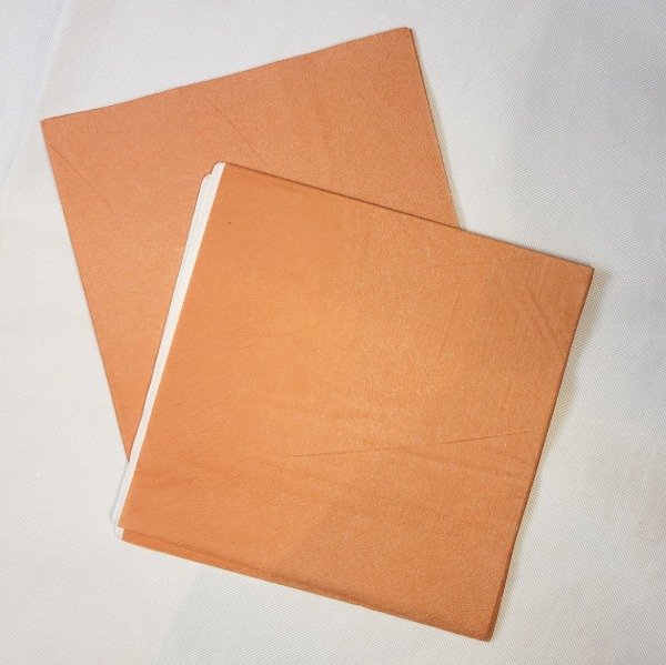 Producto - Servilleta color terracota x20un