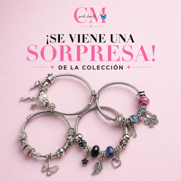 Producto - Pulseras y Charms - 2