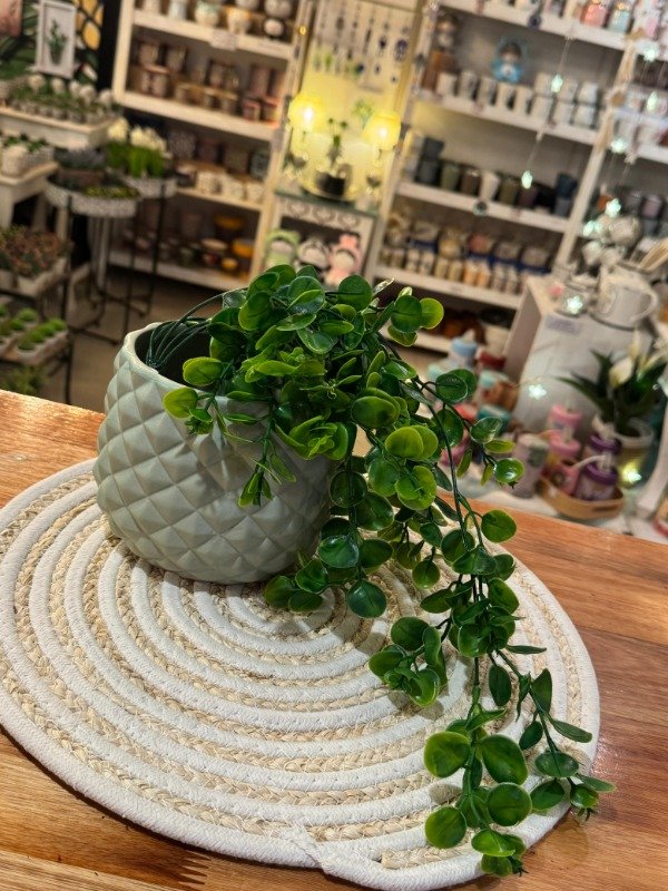 Producto - Caida Dischidia verde 58 cm ( Efectivo: 10.000)