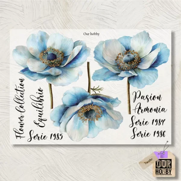 Producto - Transfolex color (plancha) 272