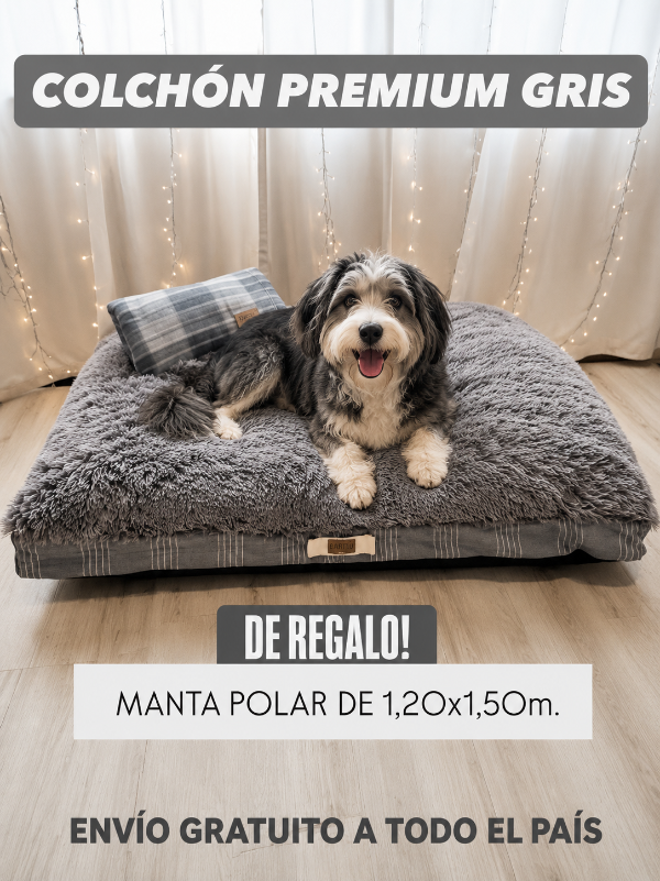 Producto - BARTUCUCHA PREMIUM GRIS
