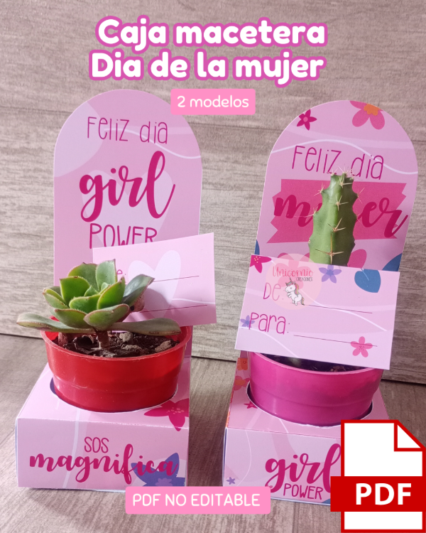 Producto - Caja macetera dia de la mujer