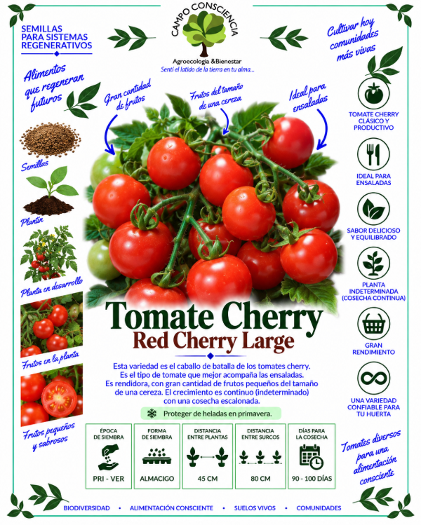 Producto - Tomate Cherry Red Large - Semillas Agroecológicas