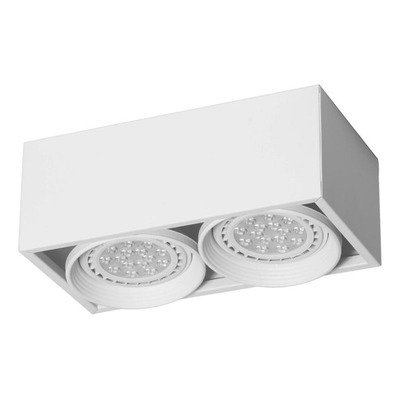 Producto - PLAFON CARDÁNICO P/ 2 AR111 Móvil  C/Zócalo