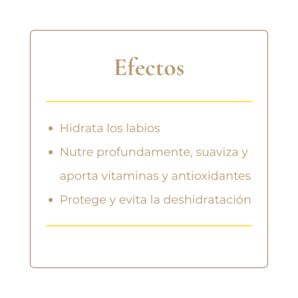 Producto - Bálsamo de Labios - 1