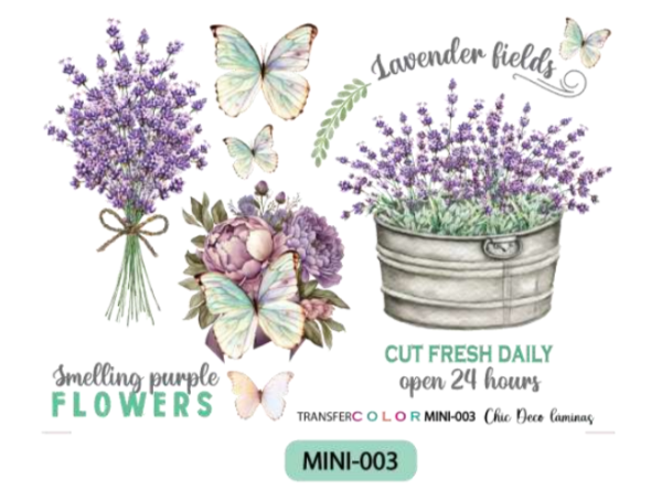 Producto - TRANSFER COLOR MINI 003