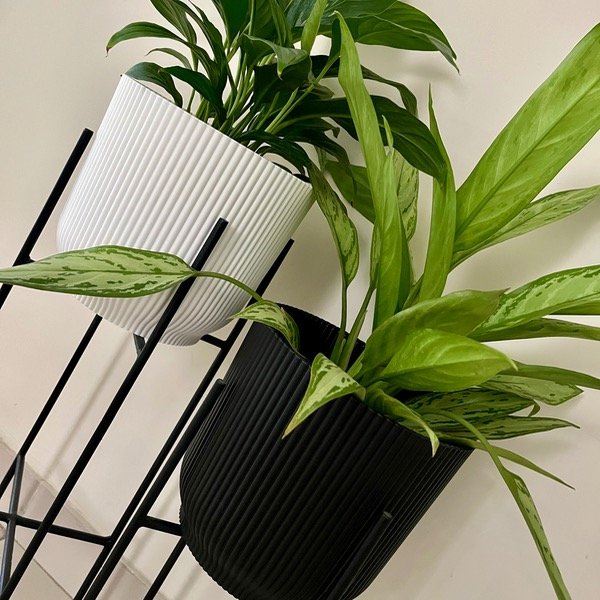 Producto - Pie hierro NEGRO con maceta Milan 20cm