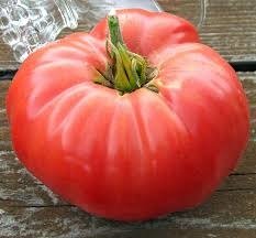 Producto - Tomate aussie