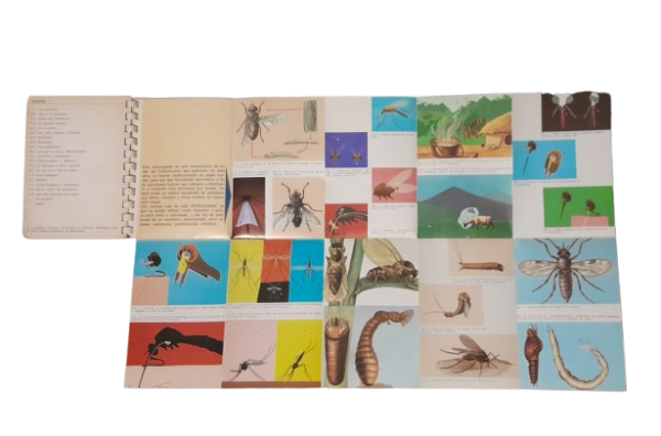 Miniatura de producto - 4