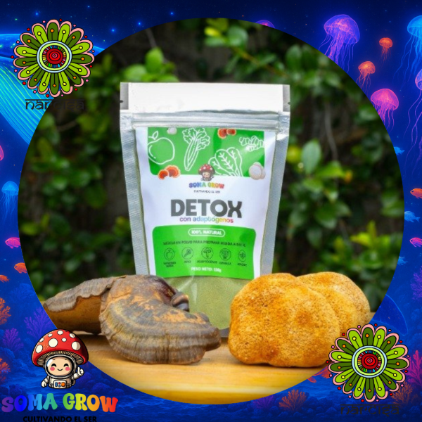 Producto - Jugo Verde DETOX en Polvo con ADAPTOGENOS
