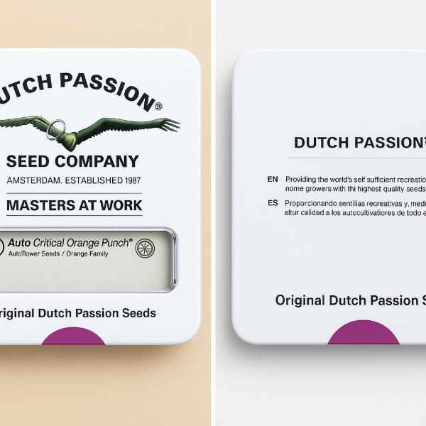 Producto - Auto Critical Orange Punch/