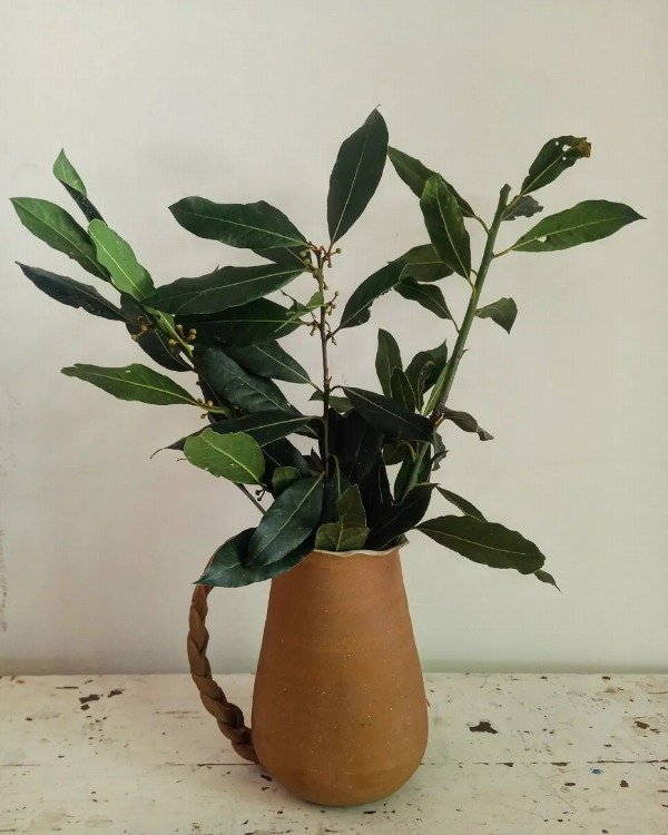 Producto - Jarra/Florero Eugenia