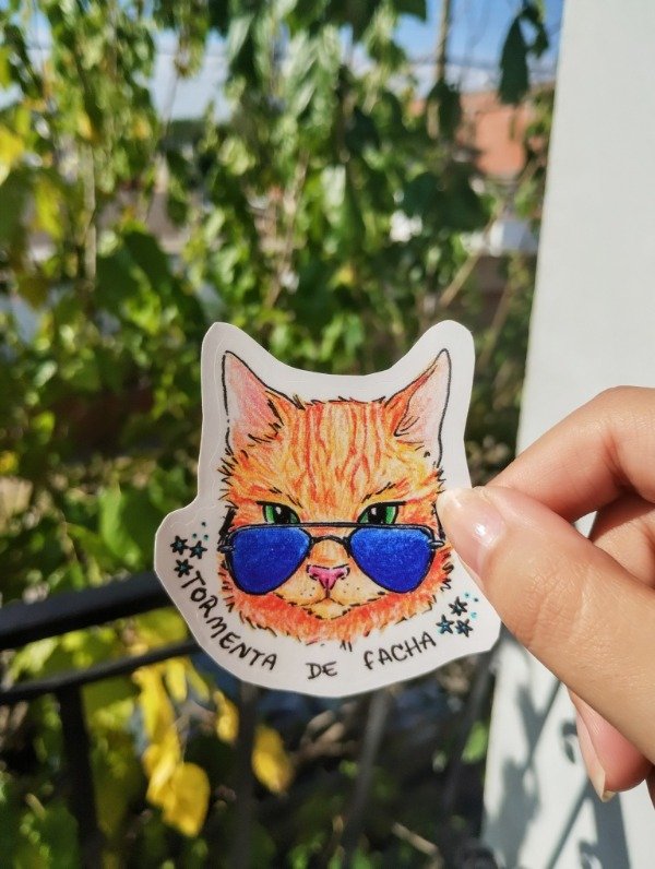 Producto - Gatito fachero