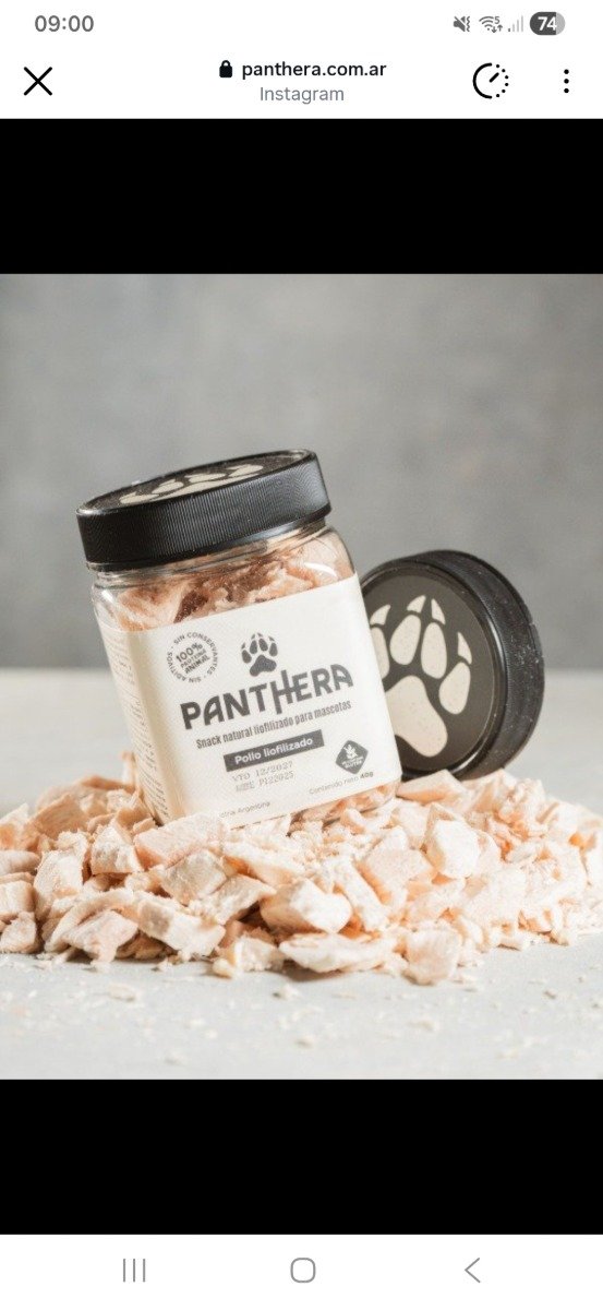 Producto - Snacks Liofilizados de Pollo para Gatos - 1