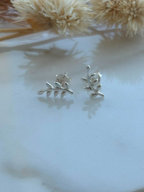 Producto - Aros Rama - 2