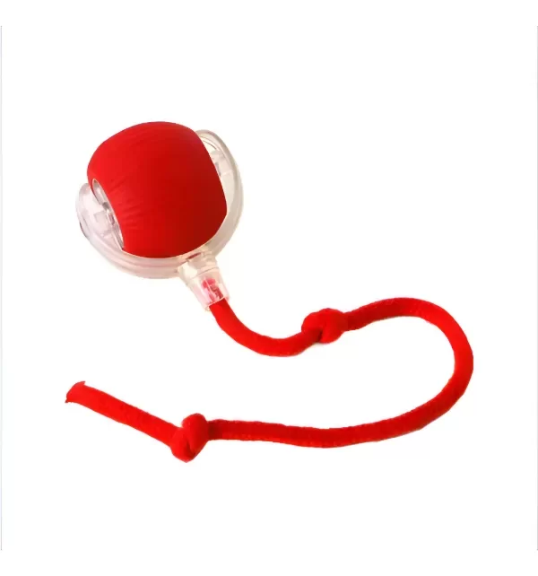 Producto - Pelota Interactiva con Hilo