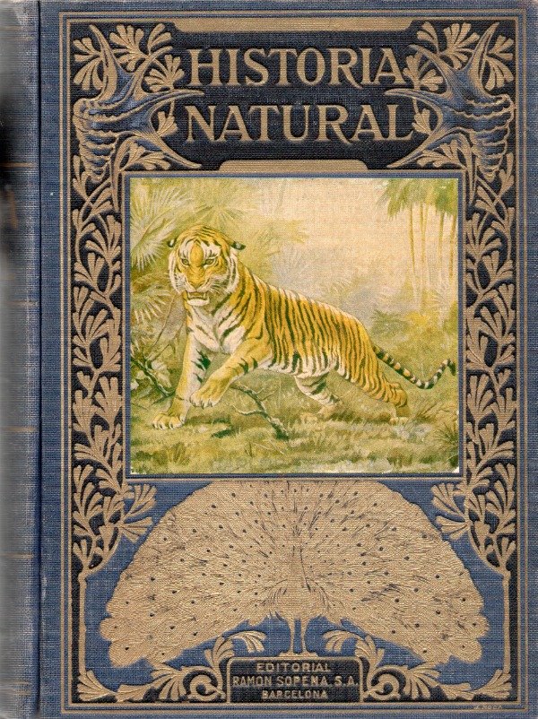 Producto - Hiatoria Natural