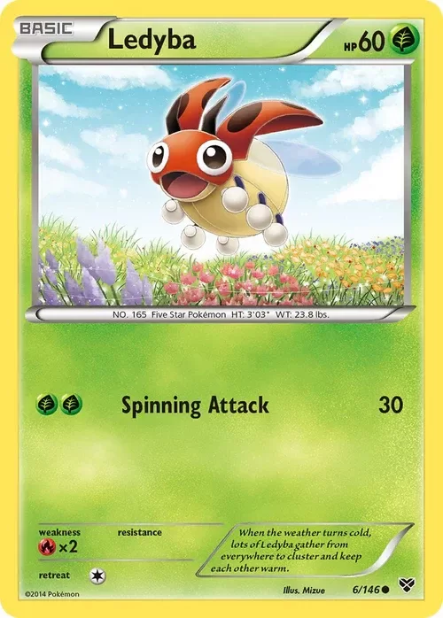 Producto - Ledyba - 6/146 - XY Base