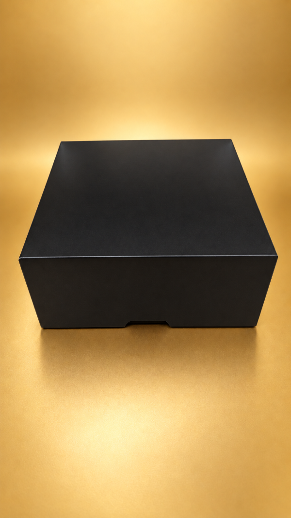 Producto - CAJA TAPA BISAGRA NEGRA COD.1538 25X11X25 - 0