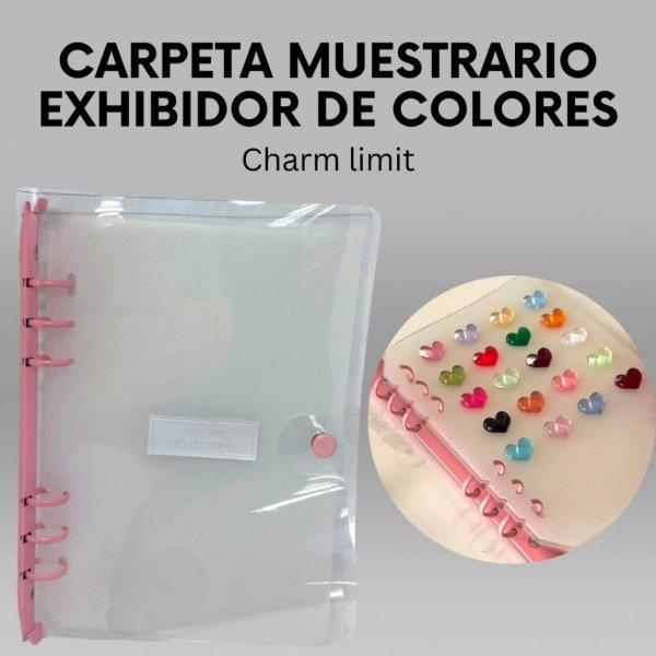 Producto - Carpeta muestrarios organizadora de colores charm limit
