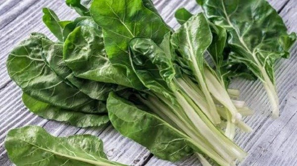 Producto - Acelga Agroecológica 1 Atado